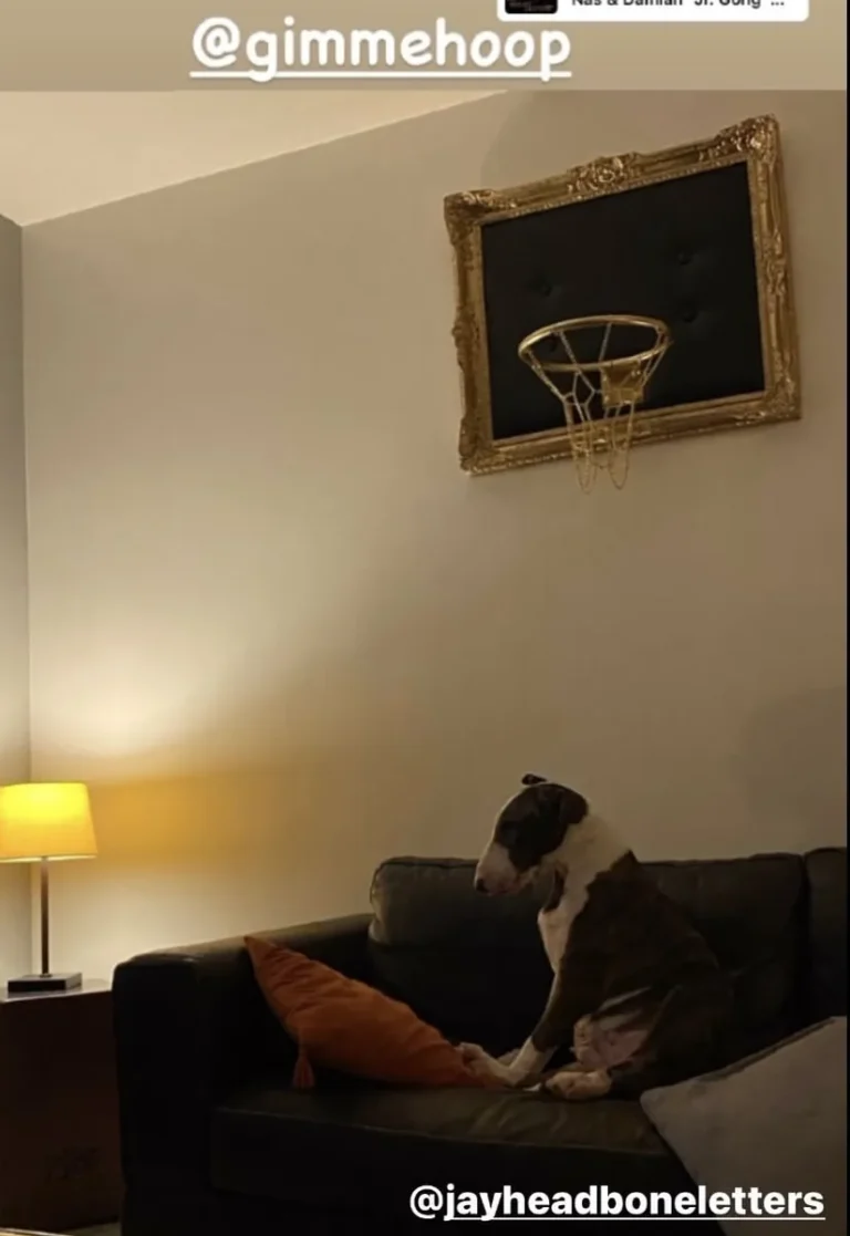 Customer photo of Gold Basketball Hoop
