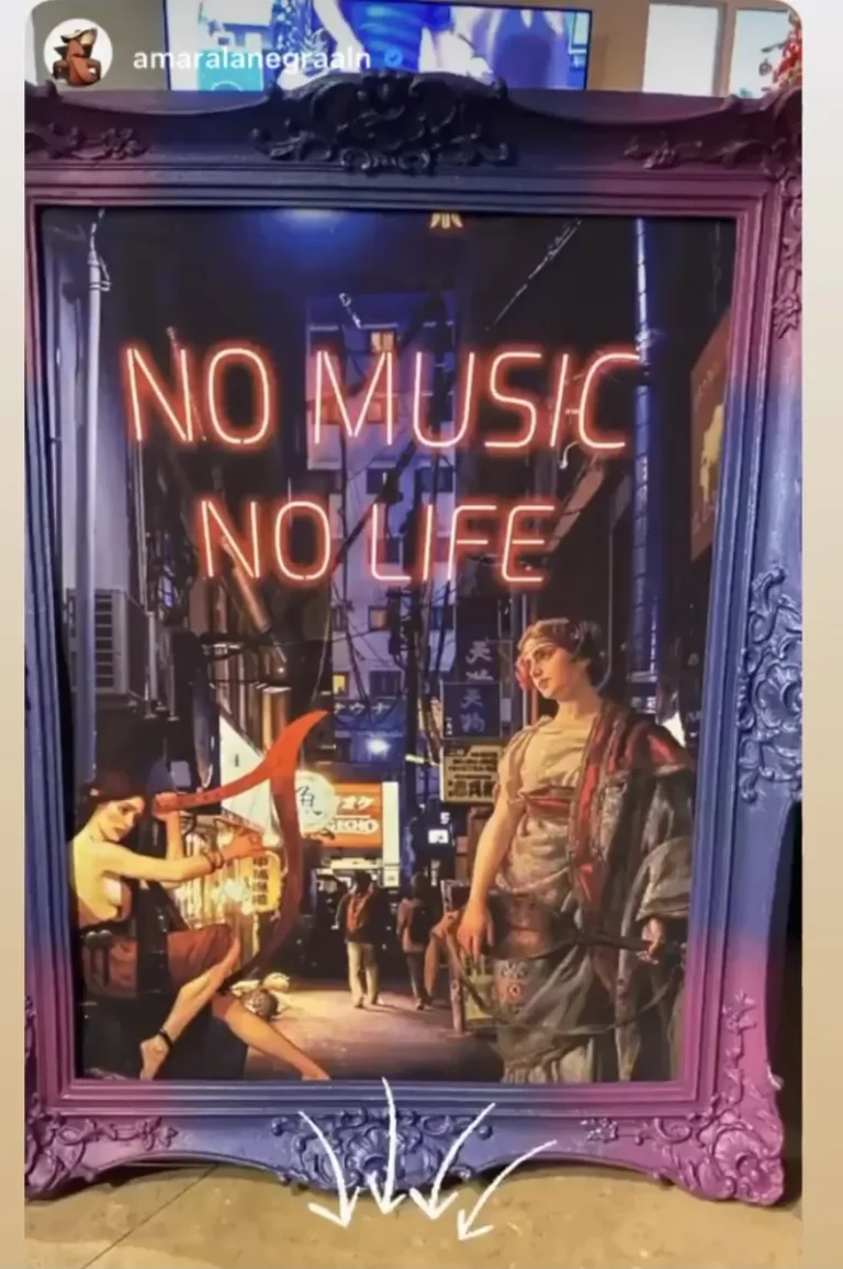 Customer photo of No Music - No Life // Framed Canvas